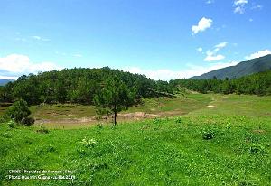 181 - Shaxi